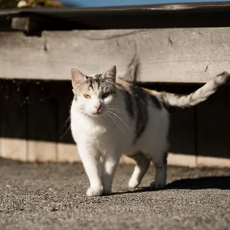 Hell Hof * Innsbruck