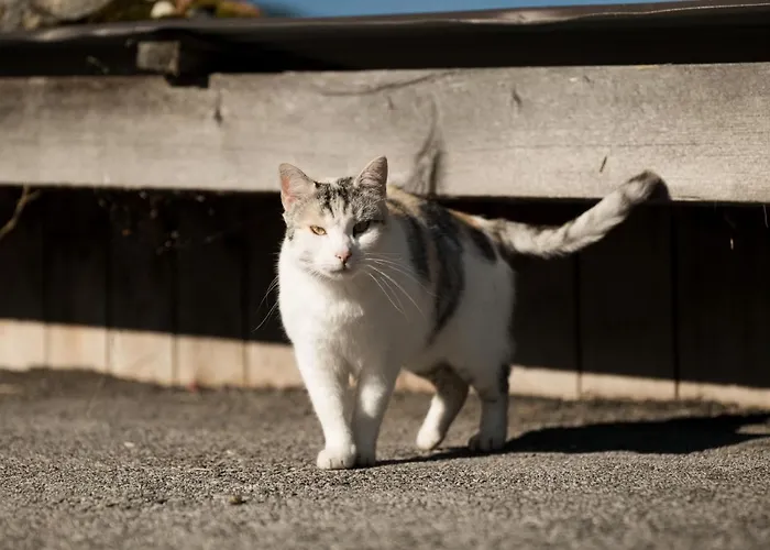 Hell Hof * Innsbruck
